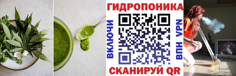 shop формула  купить наркотик  omg   Завитинск  Еда ТГК марихуана 