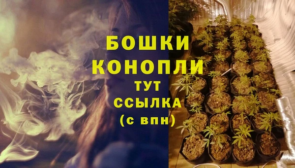трава Бронницы