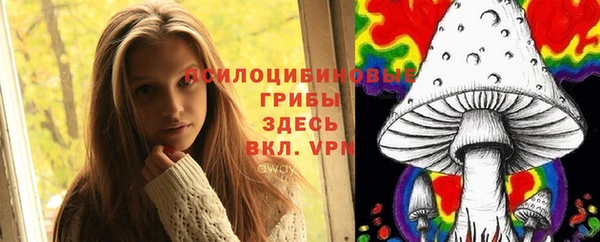 трава Бронницы