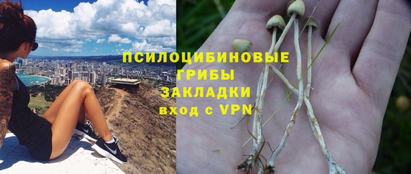 2c-b Верея