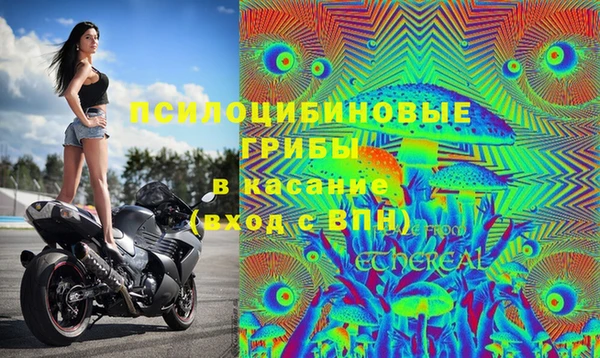 2c-b Верея