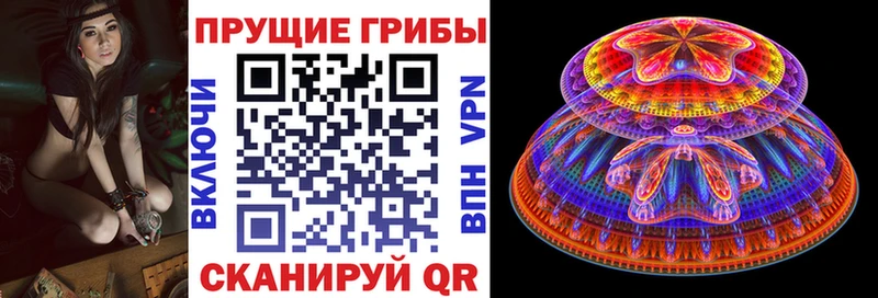Псилоцибиновые грибы мухоморы  Завитинск 