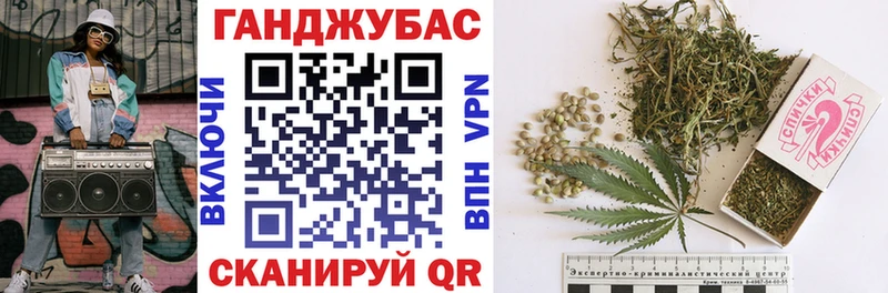Конопля сатива  купить наркотики цена  Завитинск 